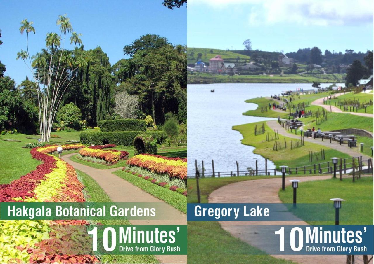 Glory Bush Boutique Villa Nuwara Eliya Extérieur photo