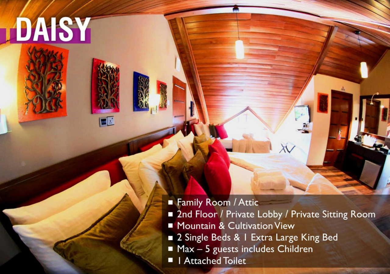 Glory Bush Boutique Villa Nuwara Eliya Extérieur photo