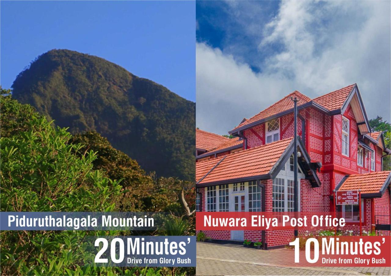 Glory Bush Boutique Villa Nuwara Eliya Extérieur photo