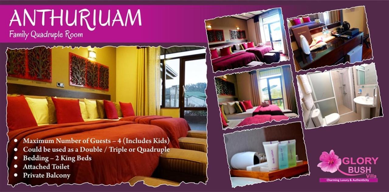 Glory Bush Boutique Villa Nuwara Eliya Extérieur photo