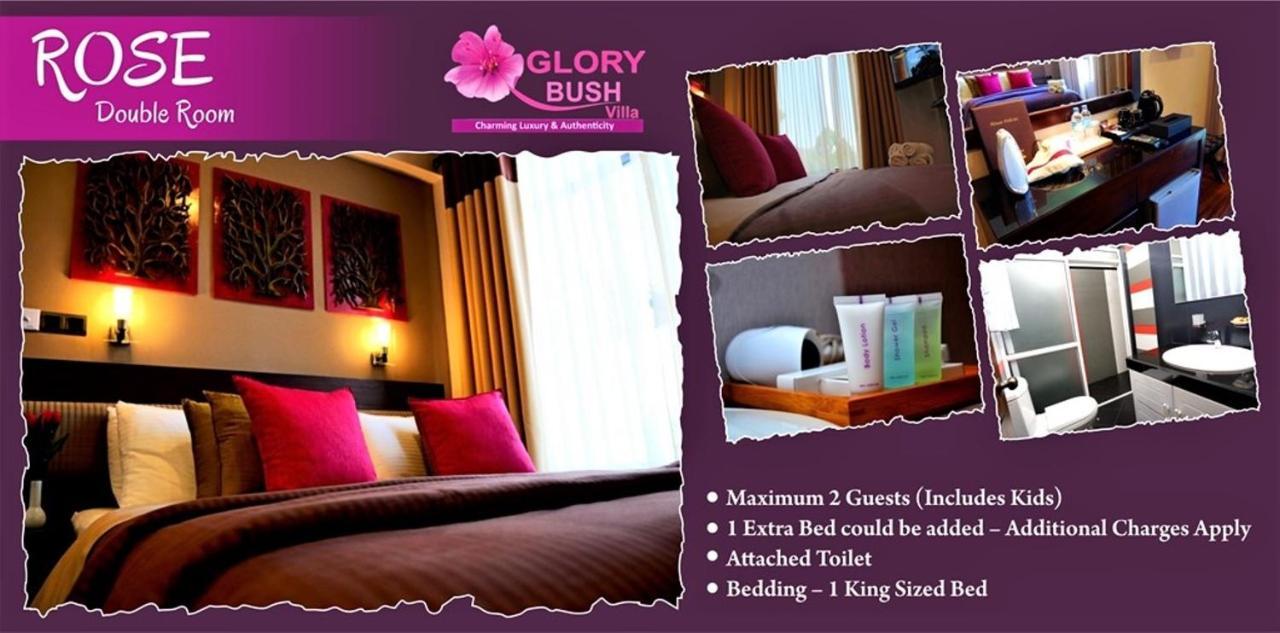 Glory Bush Boutique Villa Nuwara Eliya Extérieur photo