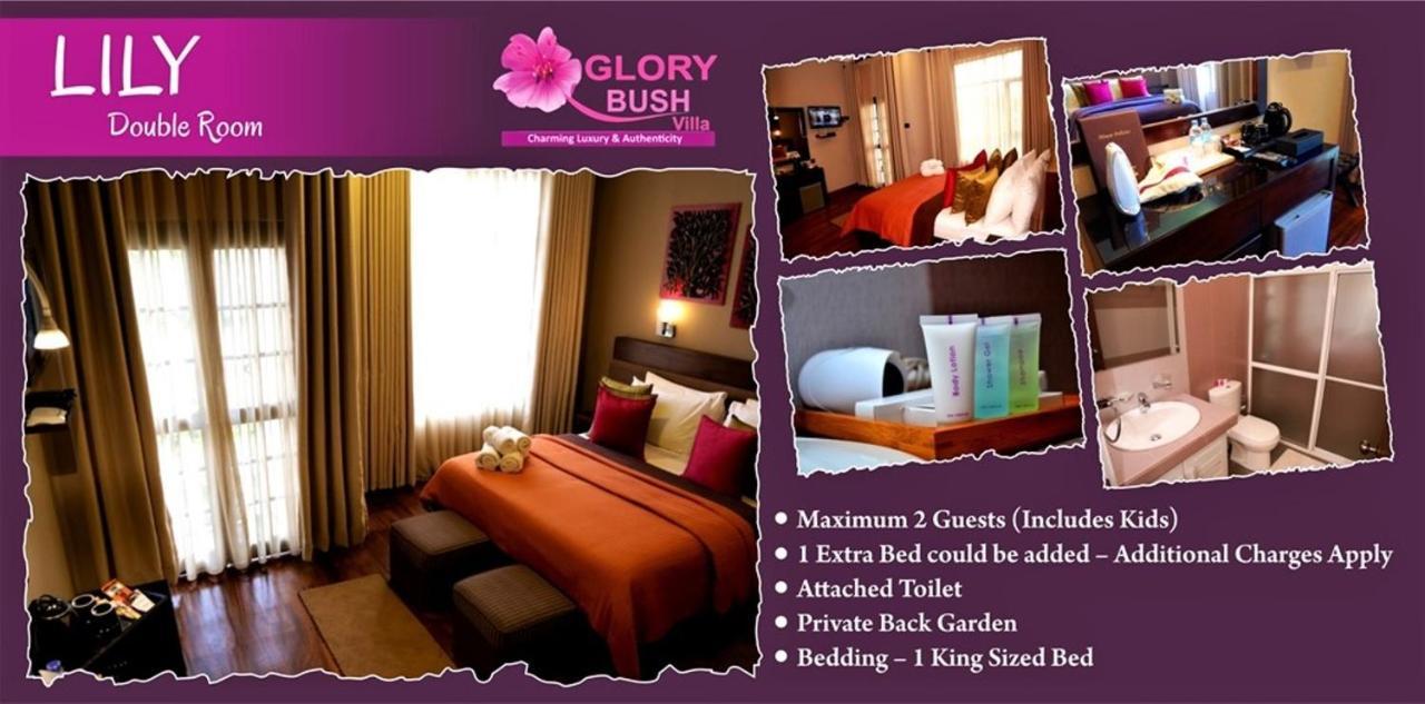 Glory Bush Boutique Villa Nuwara Eliya Extérieur photo